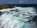 IMG_1179