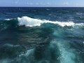 IMG_1243