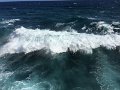 IMG_1266