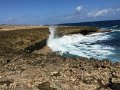 IMG_1313