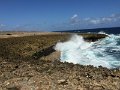 IMG_1347