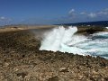 IMG_1381