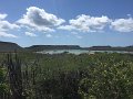 IMG_1385