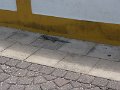 P1160903