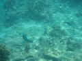 IMG_1730