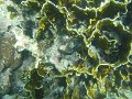 IMG_1731