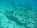 IMG_1739
