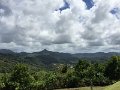 IMG_1408
