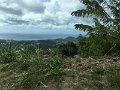 IMG_1413