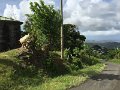 IMG_1415