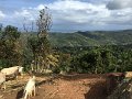 IMG_1418