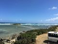 IMG_1441